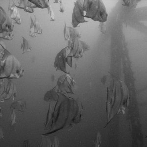 photo_contest_003.jpg