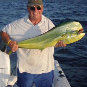 712dorado.jpg