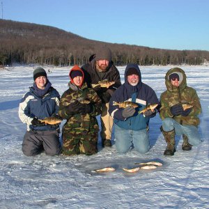 Whole_Gang_Holding_Perch.JPG