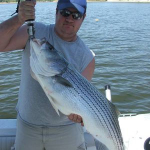 Indiana Striper.JPG