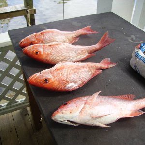 PICT0002.JPG