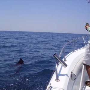 PICT0068.JPG