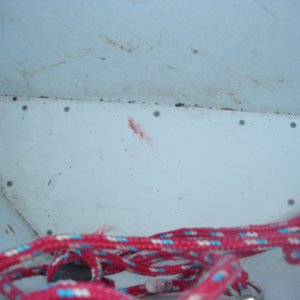 Anchor_Well_False_Floor.jpg
