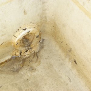 Inside_Crack_Under_Mega_Hull_Drain_Scupper.JPG
