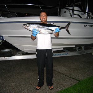 tuna1.jpg