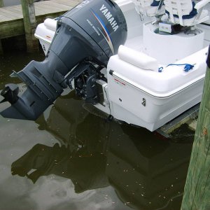 S5000778.JPG