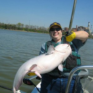 Johanna_and_her_35_lb_Blue_Cat.JPG