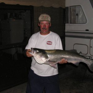 Striper2.JPG