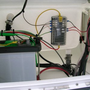 triumph_0031.jpg