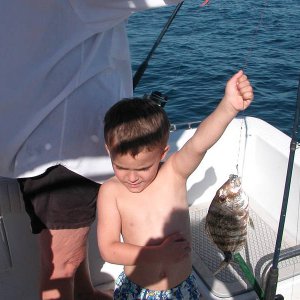 Bigfish_12:08.jpg