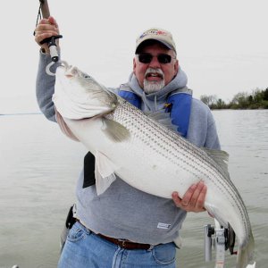30_lb_43_in_Striper.jpg