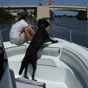 Daughter_Krystie_Mac_the_Labradoodle_approaching_Venice_North_Bridge_7-21-2009.jpg