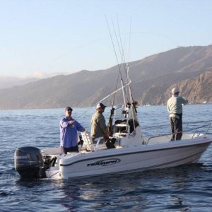 Catalina_005.jpg
