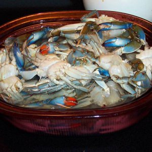 100_2666.JPG
