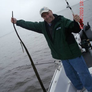 GEDC0856.JPG