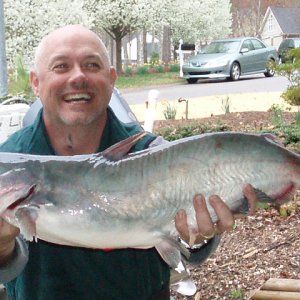 Little_Cat_fish_.JPG