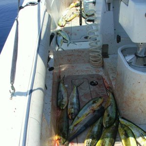DSCF2530.JPG