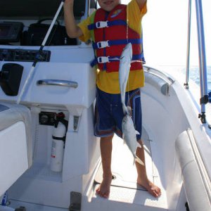 IMG_6645.JPG