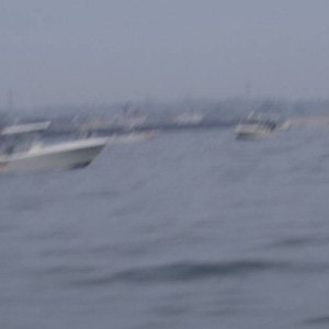 P5220002.JPG