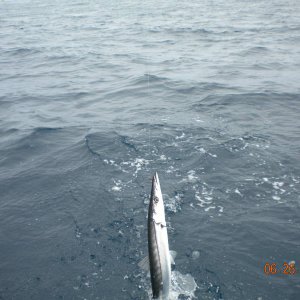 Fishing_trip_6-26-2010_003.jpg