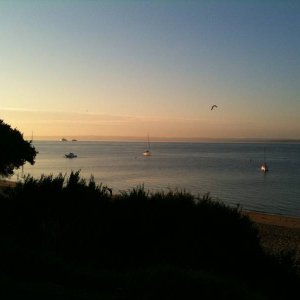 Phillip_Island_009.JPG