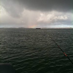 Phillip_Island_014.JPG