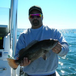 Grouper1.jpg