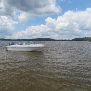 Sandbar.jpg