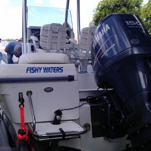 fishy waters.jpg
