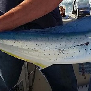 20140629_070953-1.jpg