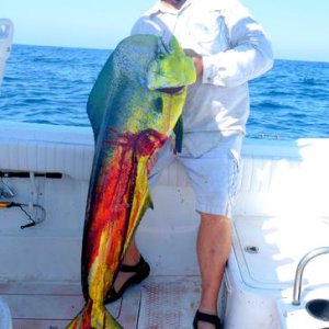 Don Sigler Dorado 9-14-14.jpg