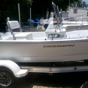 Triumph white rubrail.jpg