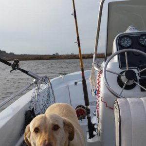 20141115_153759.jpg