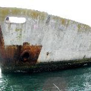 Kiptopeke8.jpg
