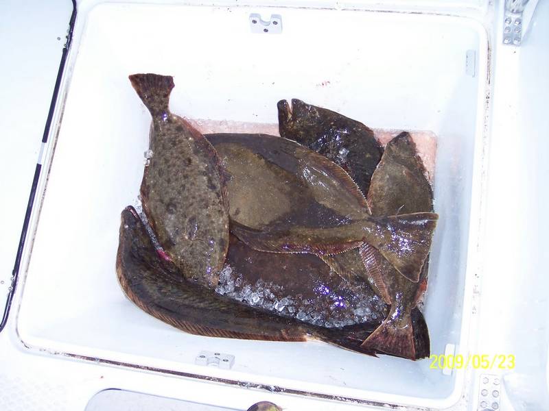 100_3396_halibut_5-23-09.jpg