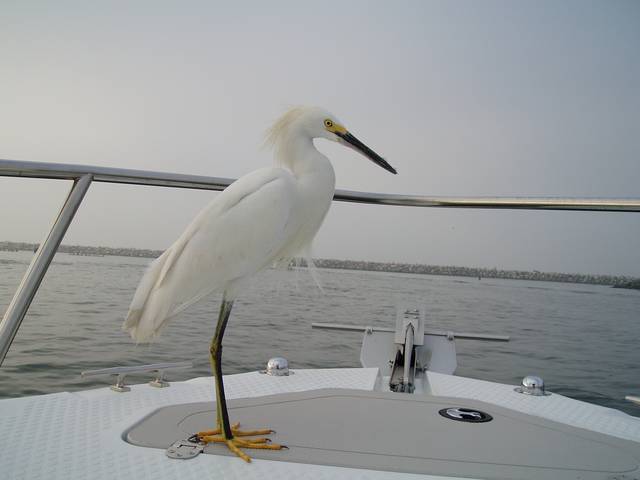 172Fishing_Pics_012205_013.jpg