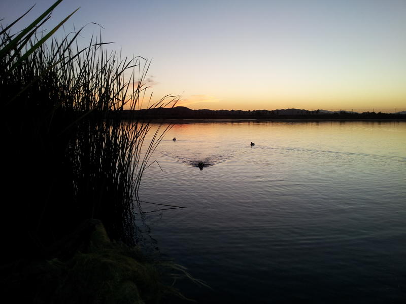 20121020_063312.jpg
