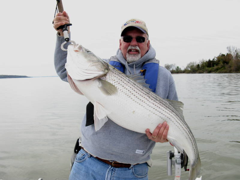 30_lb_43_in_Striper.jpg