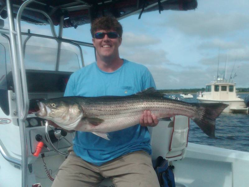 Cape_Cod_Striped_Bass_1.jpg