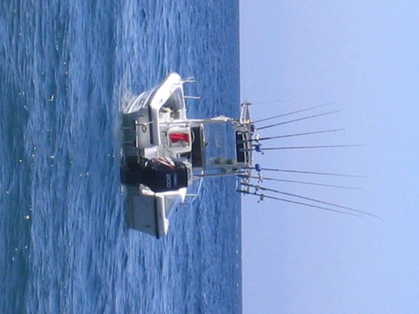 e-bay_fishfinder_2001.jpg