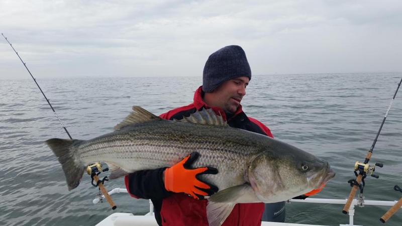 Kiptopek january Striper.jpg