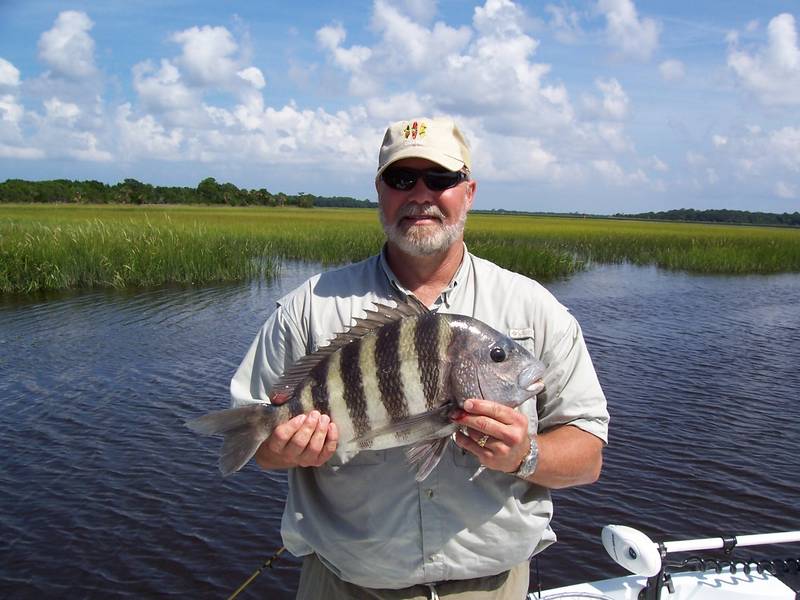 Sheepshead.jpg