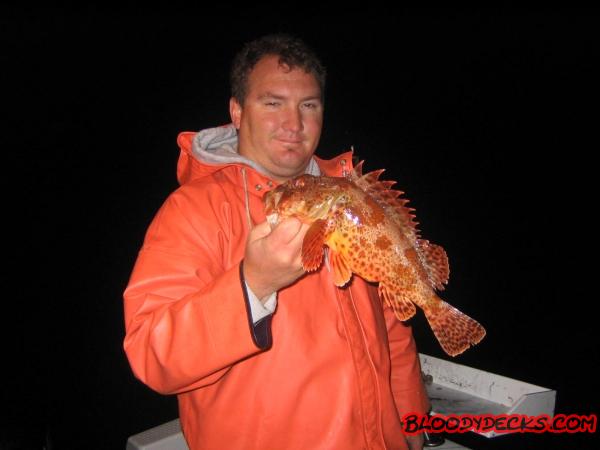 tay_sculpin_1.jpg