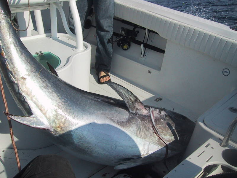 Tuna_6_20_2008007.JPG