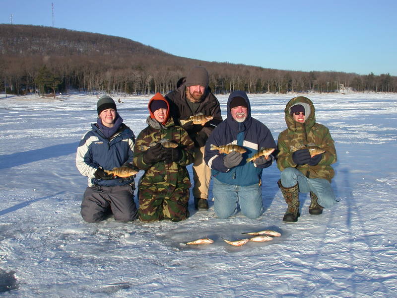 Whole_Gang_Holding_Perch.JPG